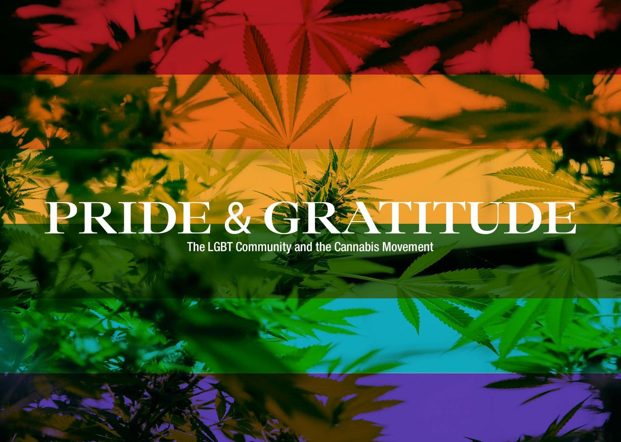 The LGBT Community and Cannabis: An Incredible History