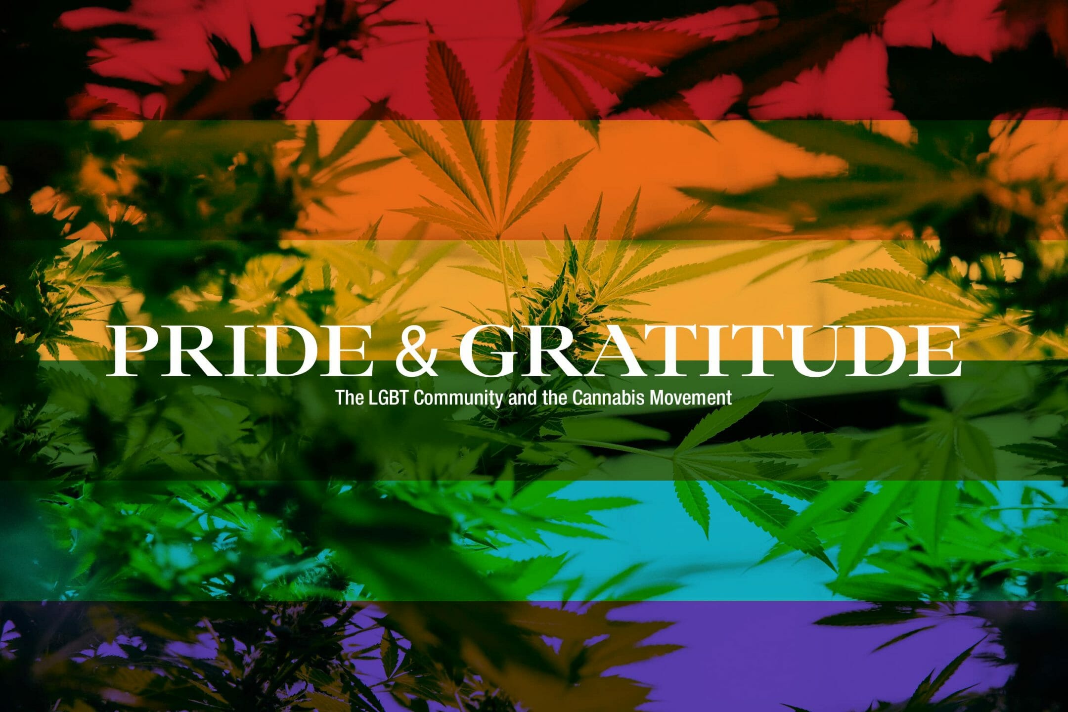 LGBT Community and Cannabis Blog