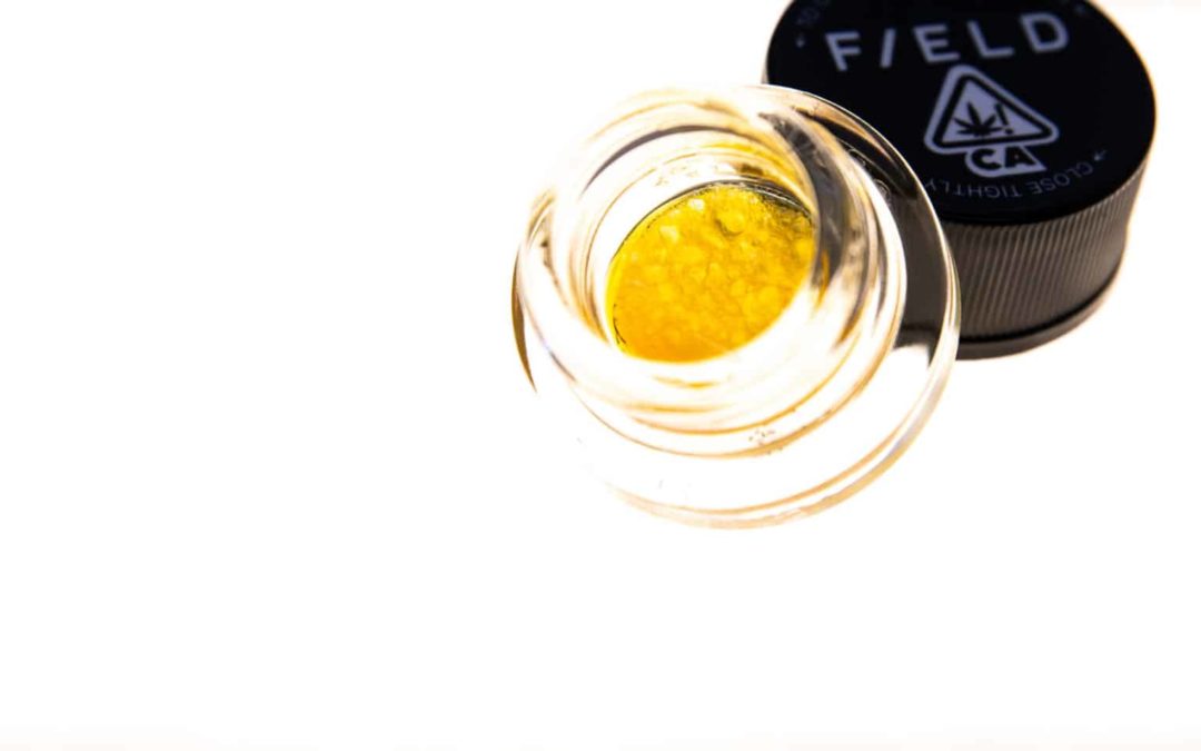 The Definitive Cannabis Concentrates Guide