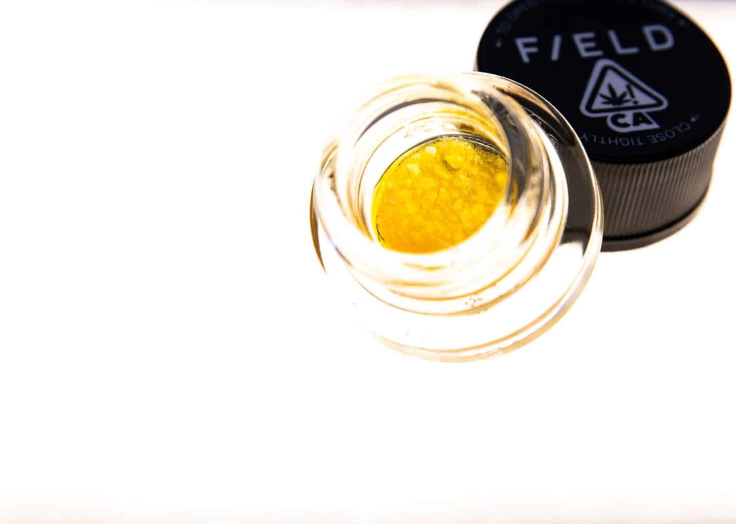 The Definitive Cannabis Concentrates Guide