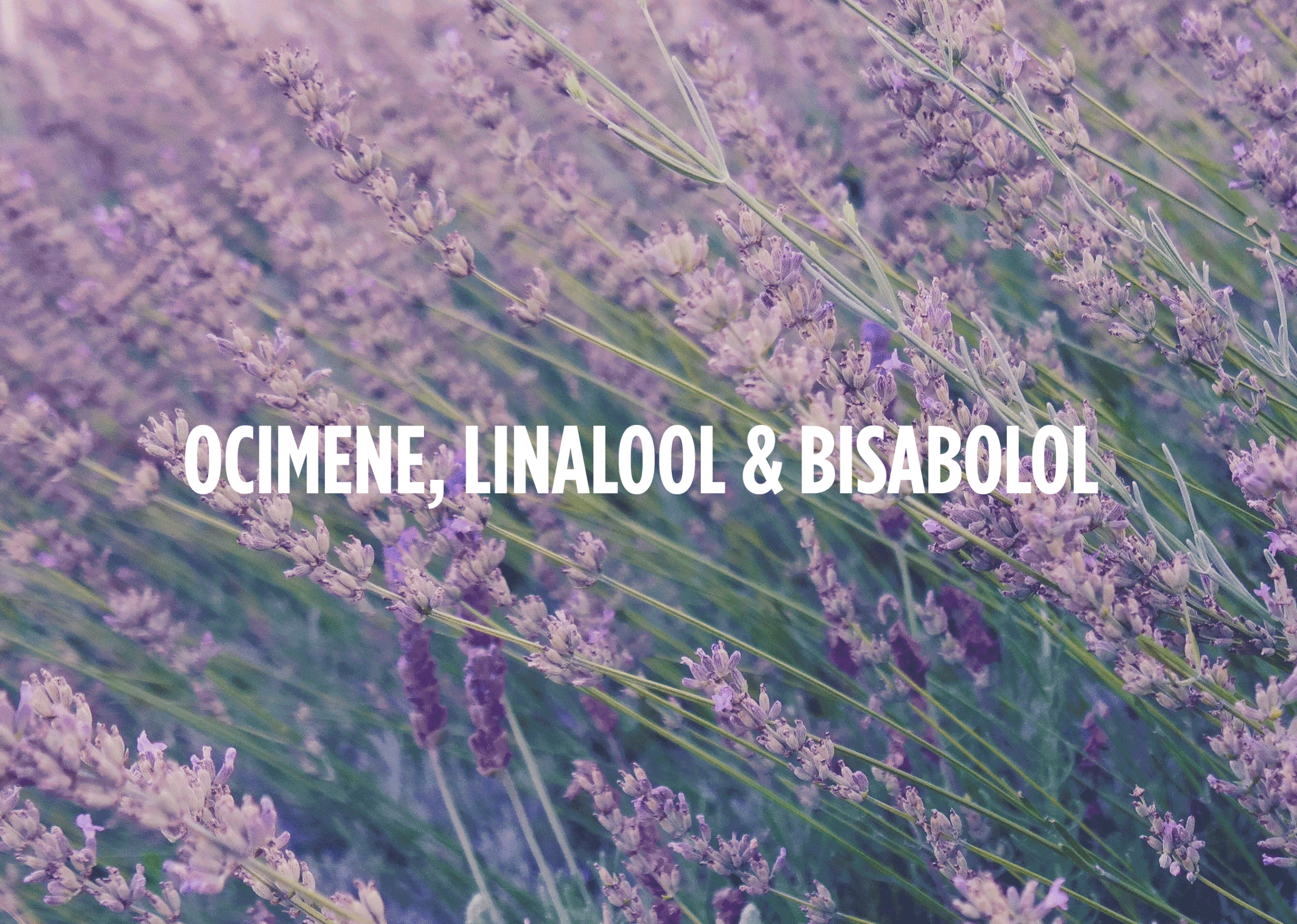 The Farmacy Guide to Terpenes — Ocimene, Linalool, & Bisabolol