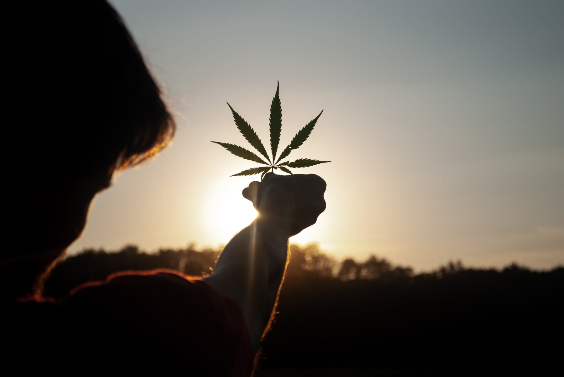 Embracing cannabis for recovery