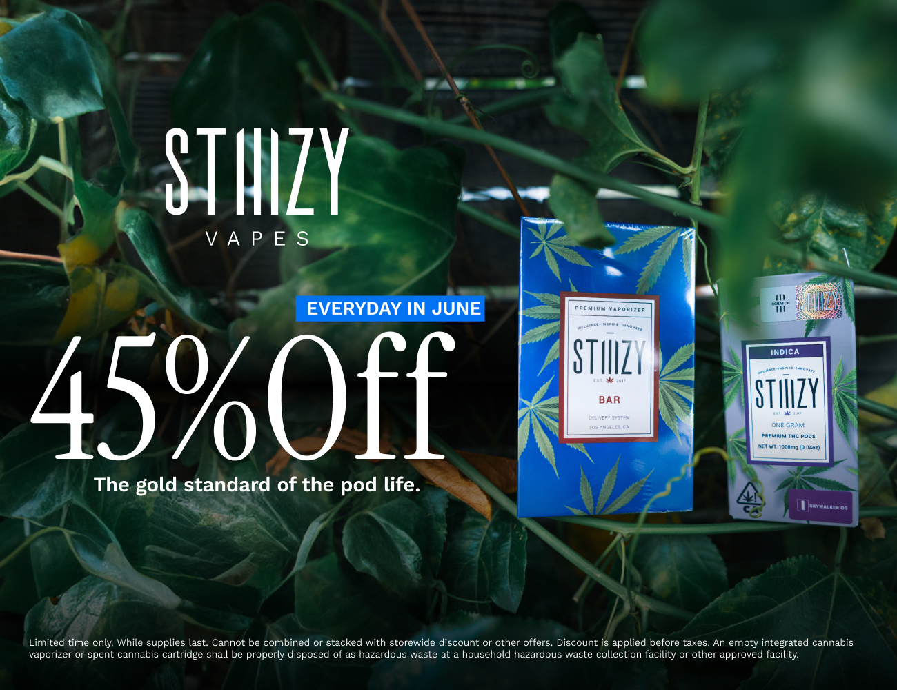 45% Off STIIIZY Vapes
