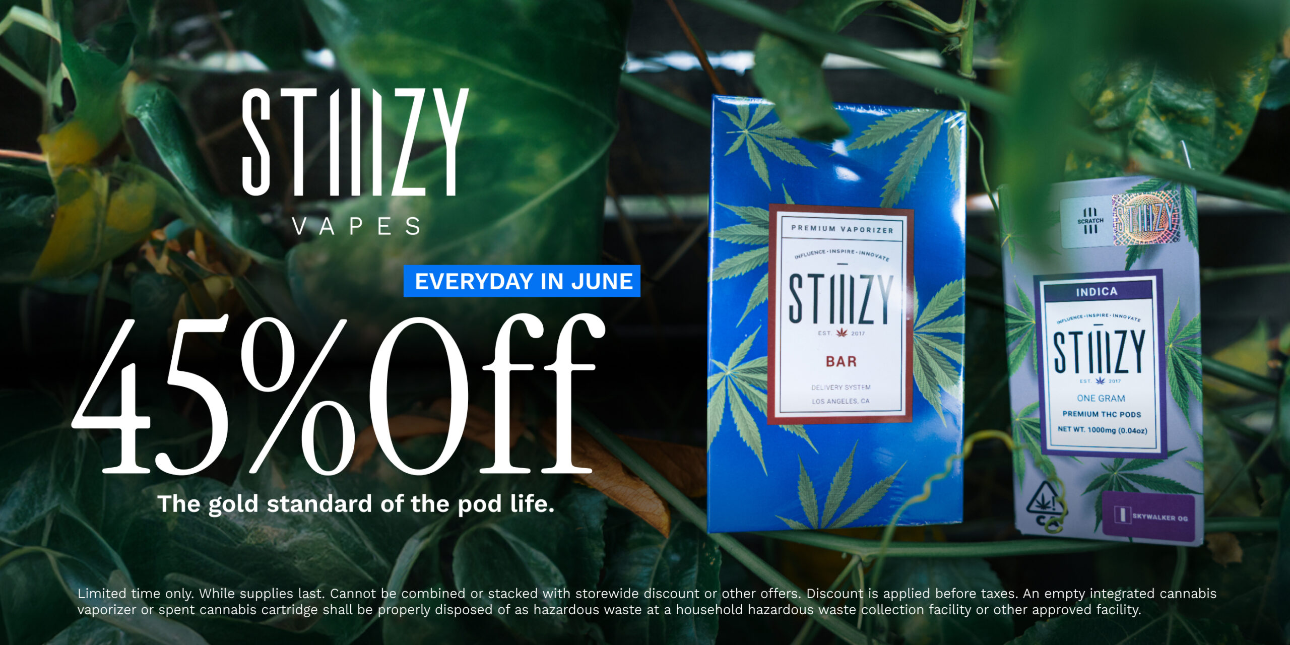 45% Off STIIIZY Vapes