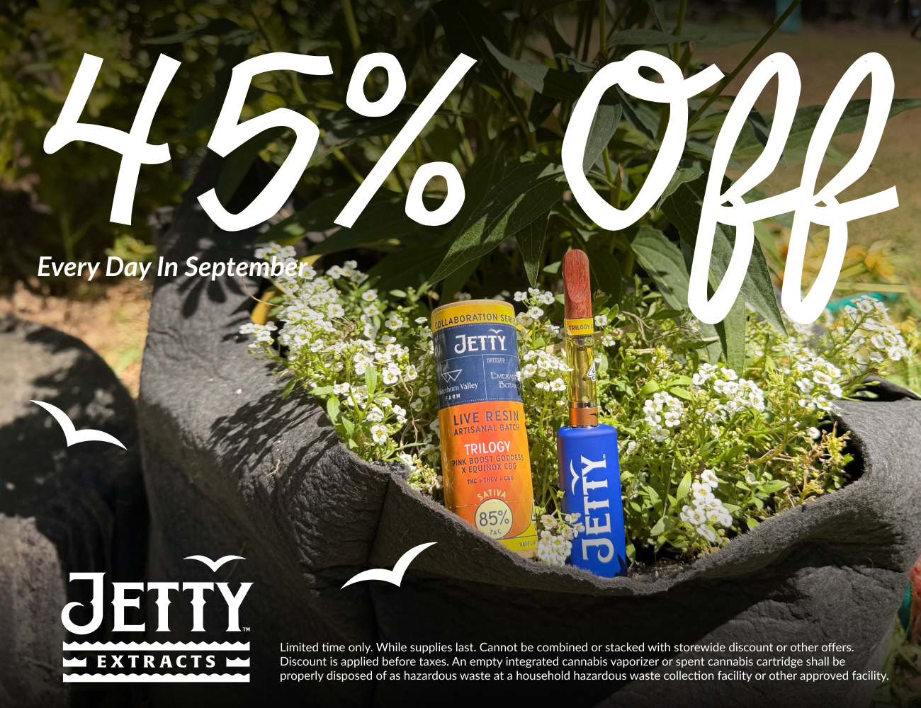 45% Off Jetty