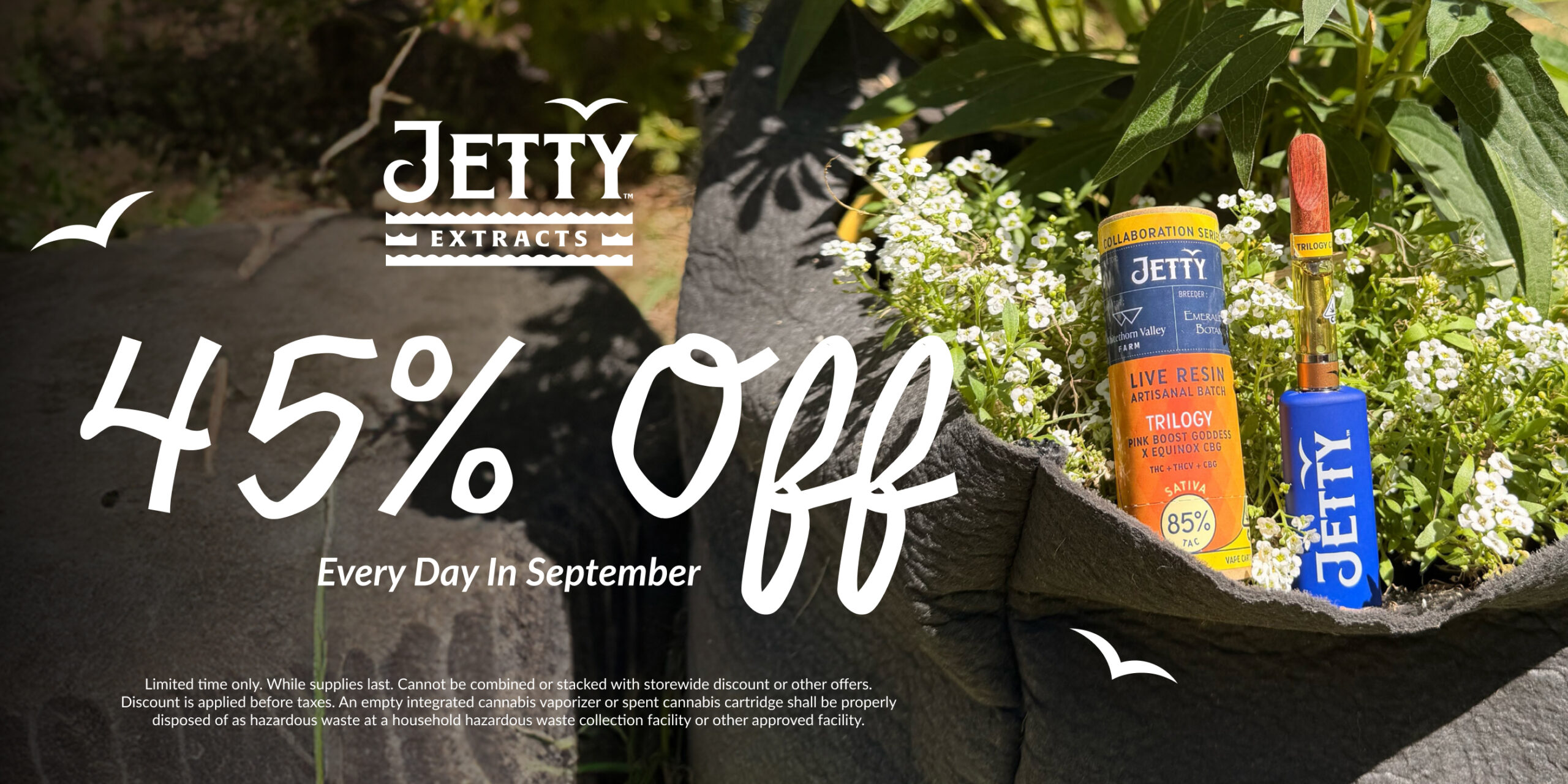 45% Off Jetty