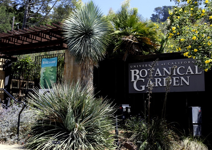 Botanical Garden