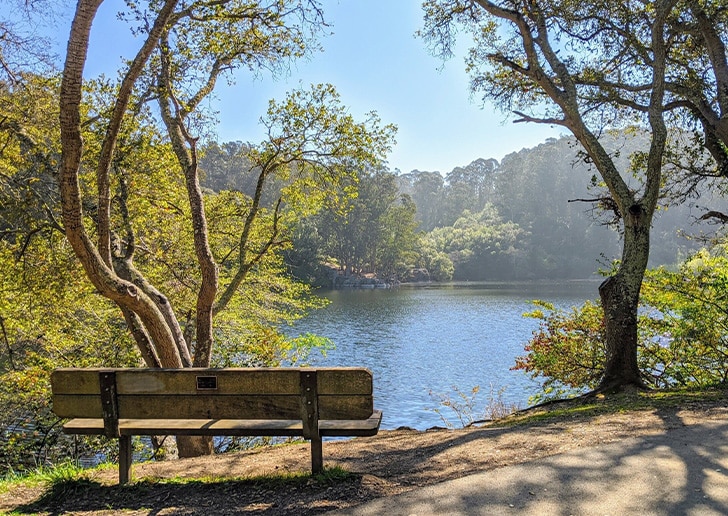 Tilden park