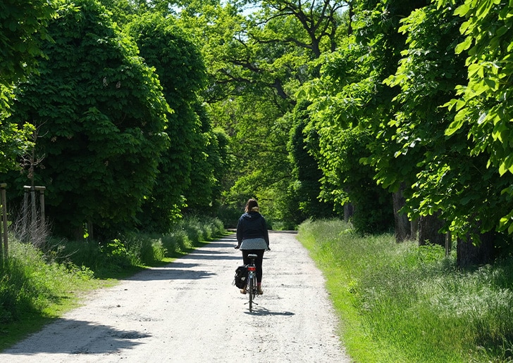 Cycling