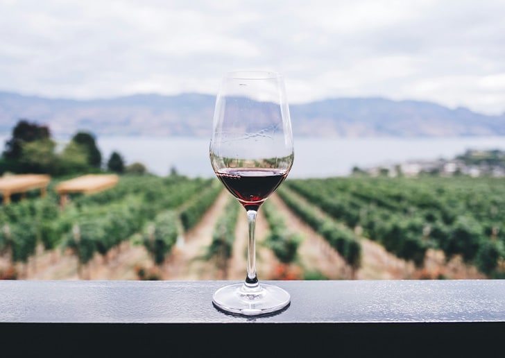 Vineyard