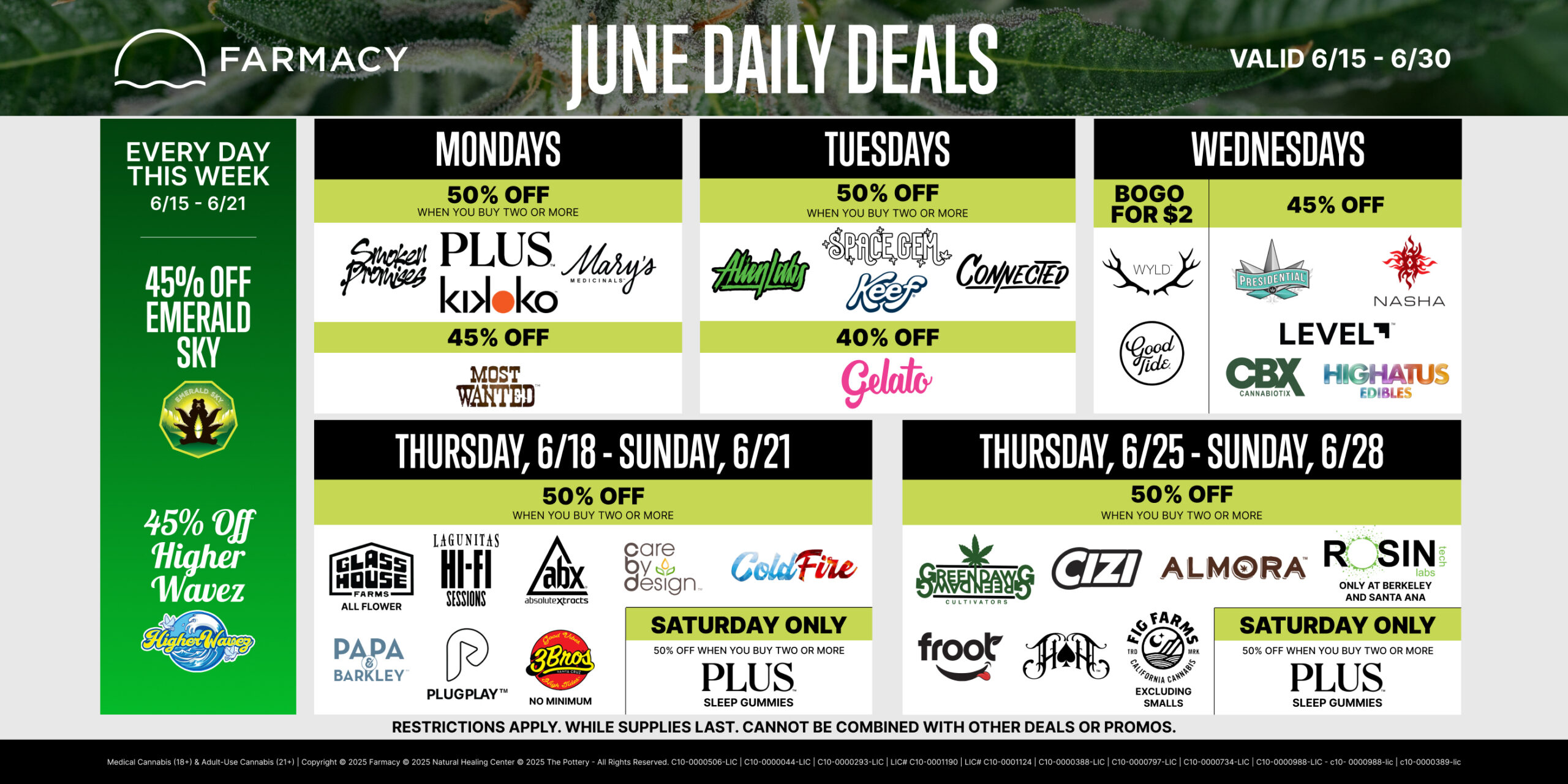 2 Week Promo Calendar