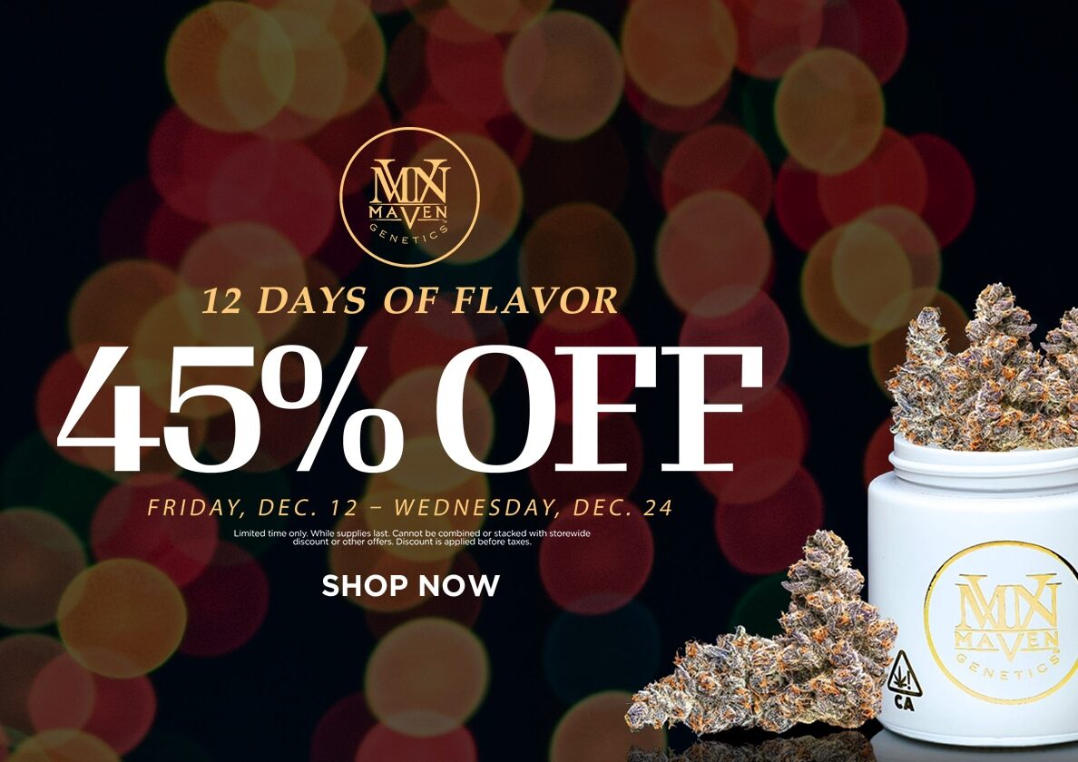 12 Days of Christmas with Maven