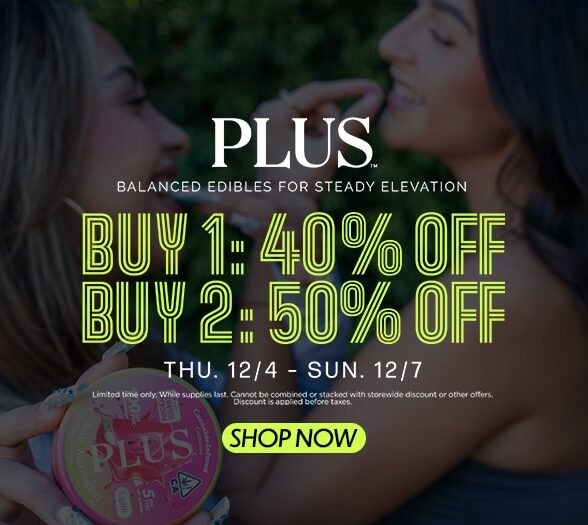 50% Off PLUS Products