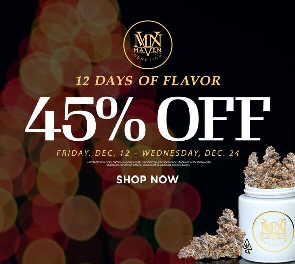 12 Days of Christmas with Maven