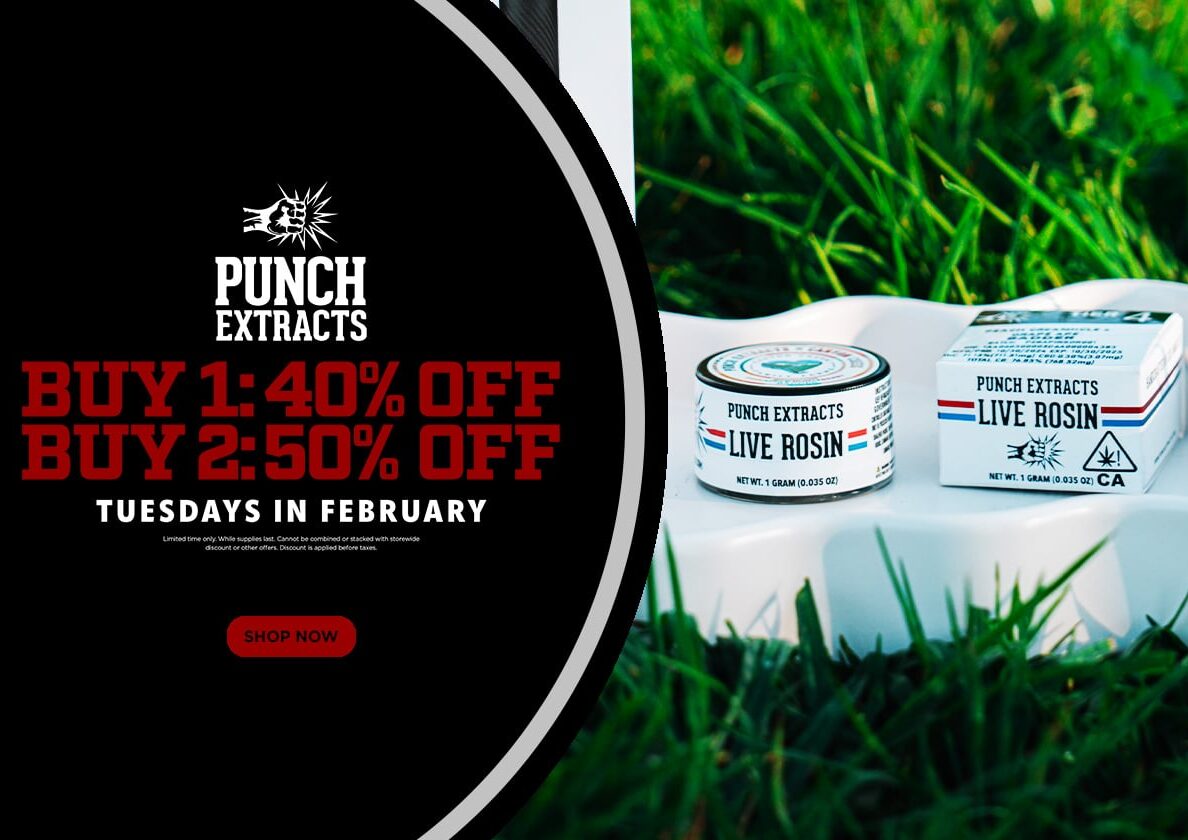 Punch Extracts Tuesday