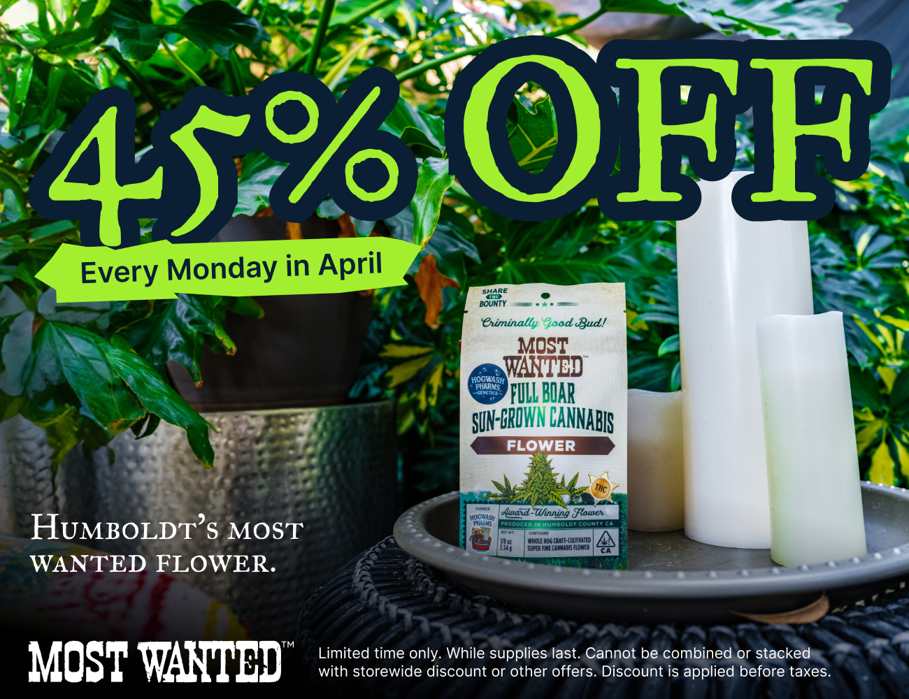 Most Wanted Monday 4.6