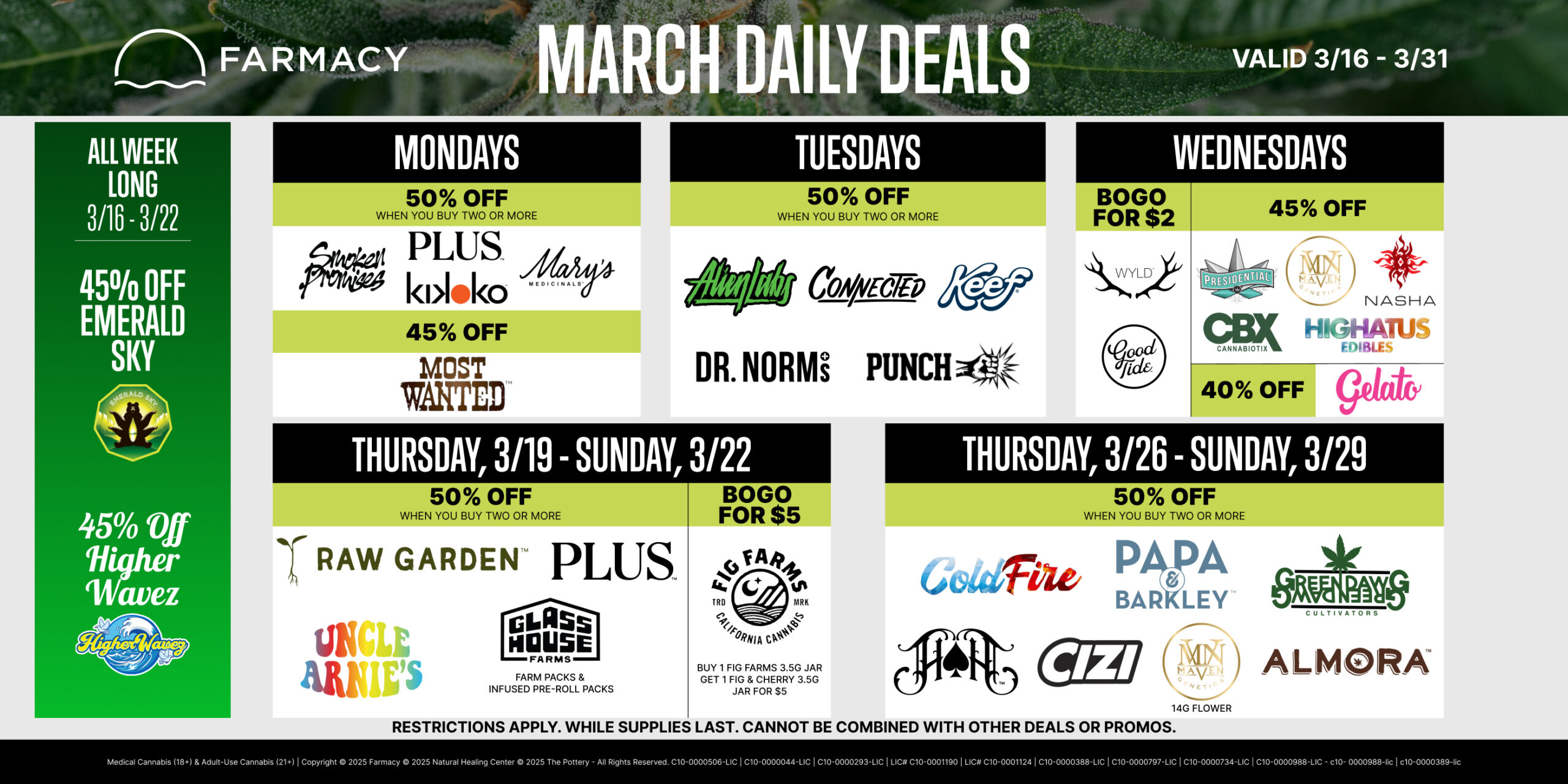 2 Week Promo Calendar