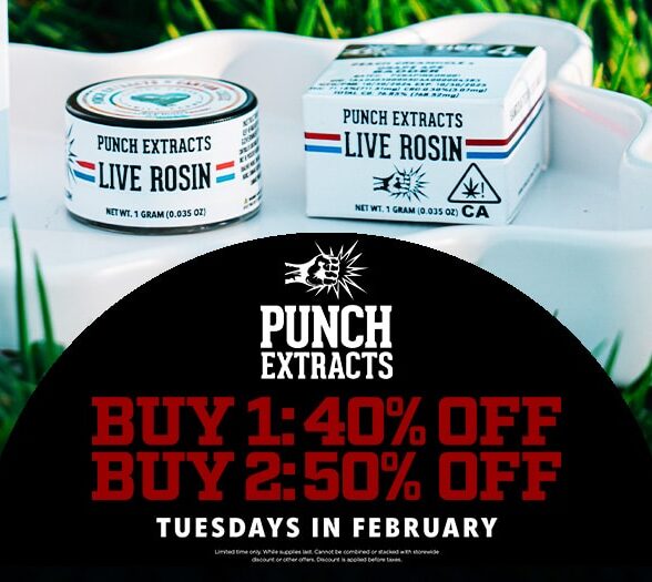Punch Extracts Tuesday