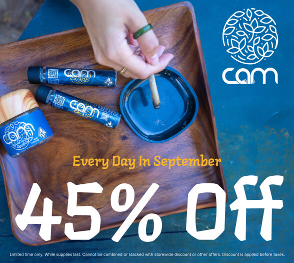 45% Off CAM