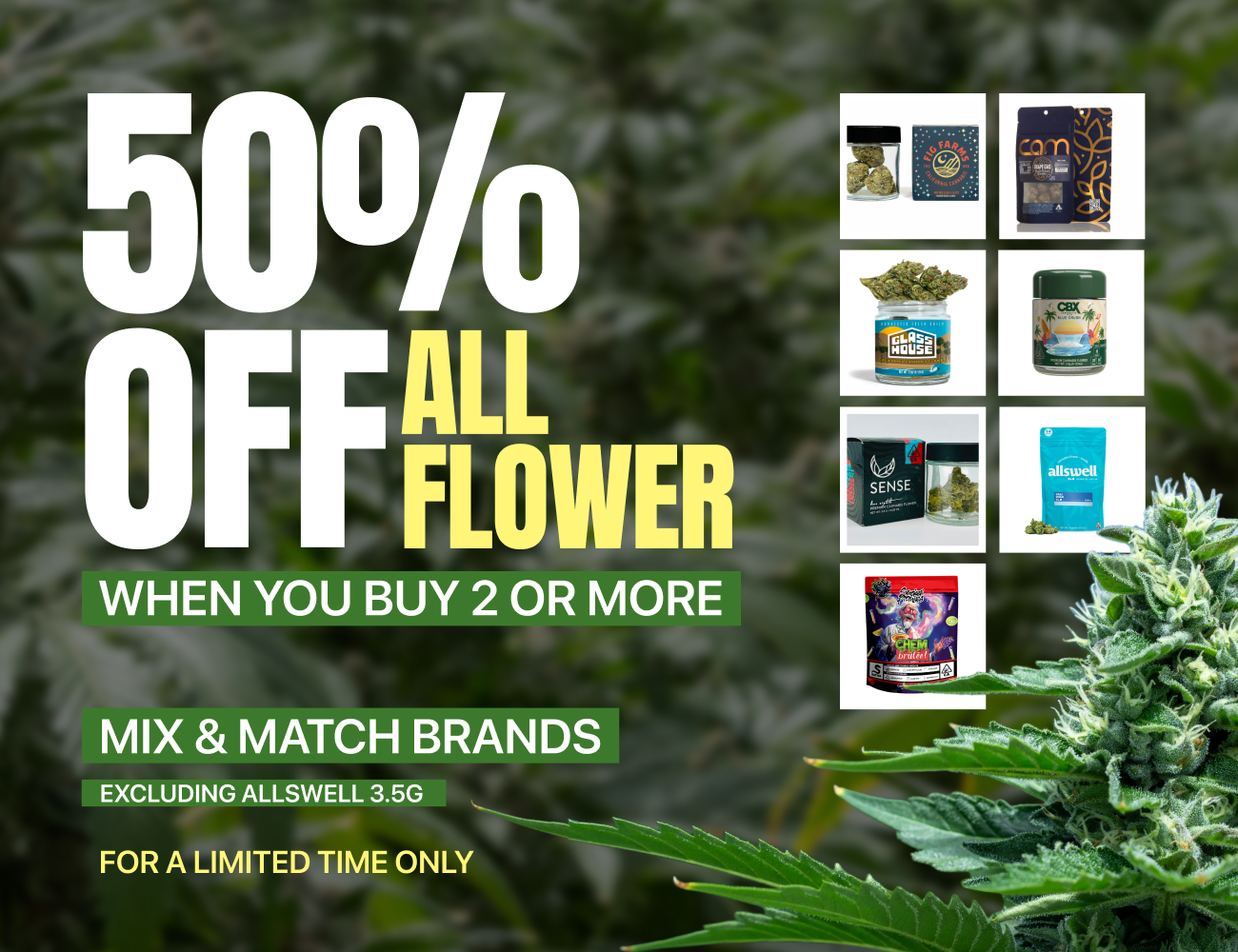 50% Off Flower