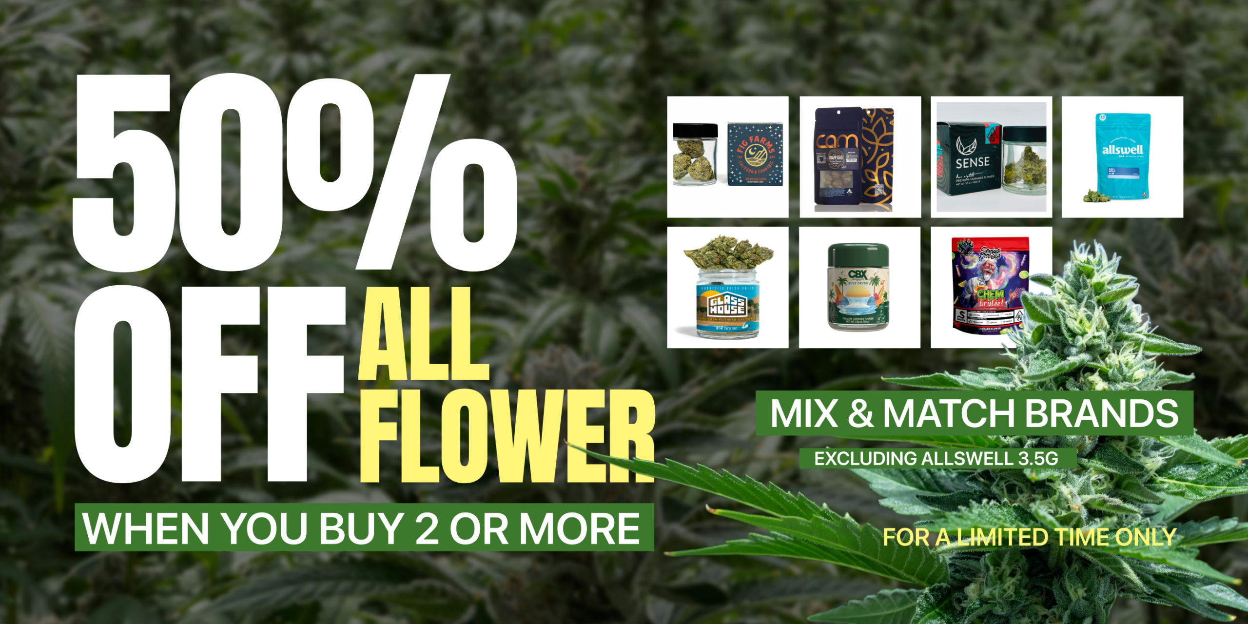 50% Off Flower